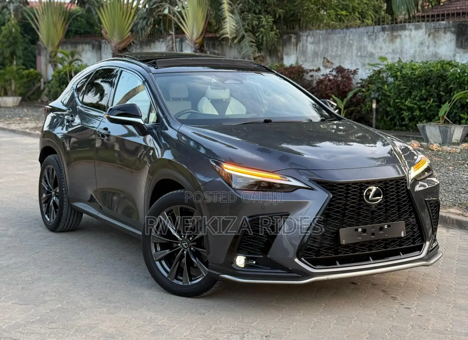 Lexus NX 2024 Gray