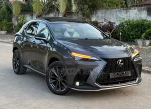 Lexus NX 2024 Gray