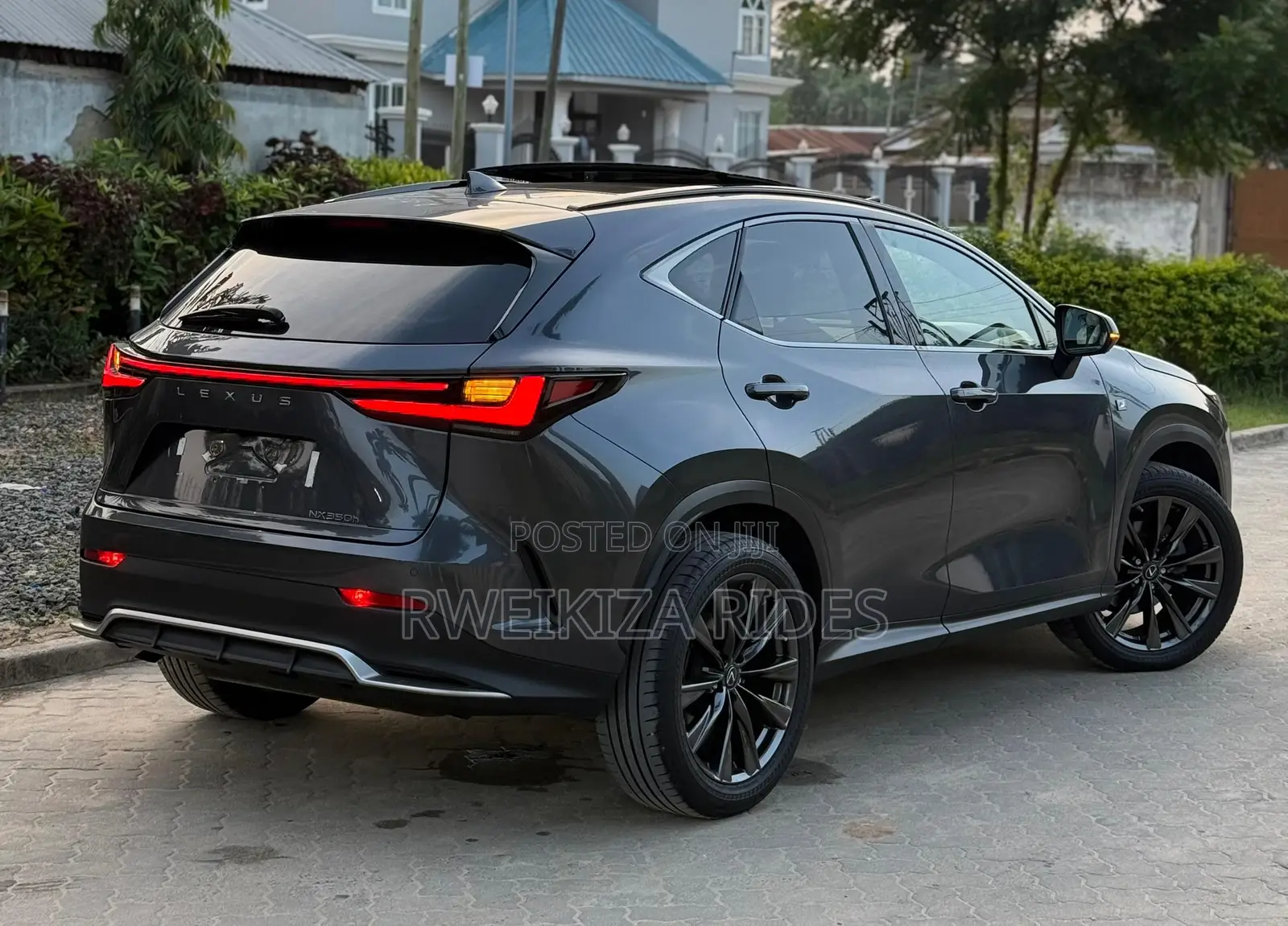 Lexus NX 2024 Gray