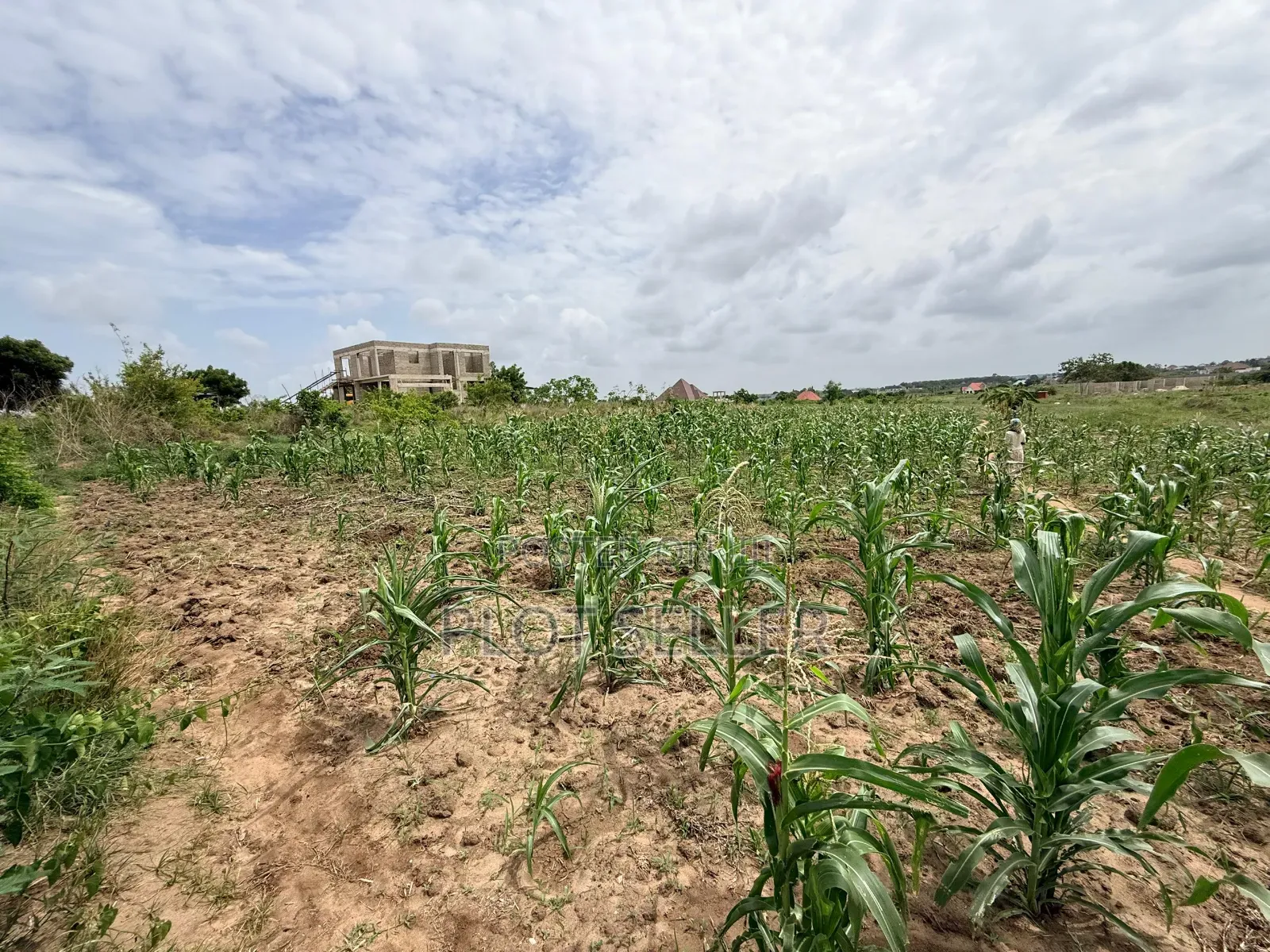 View of Public Record Searches - Westmoreland County, PA