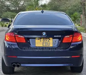BMW 5 Series 2013 Blue