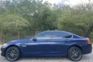 BMW 5 Series 2013 Blue