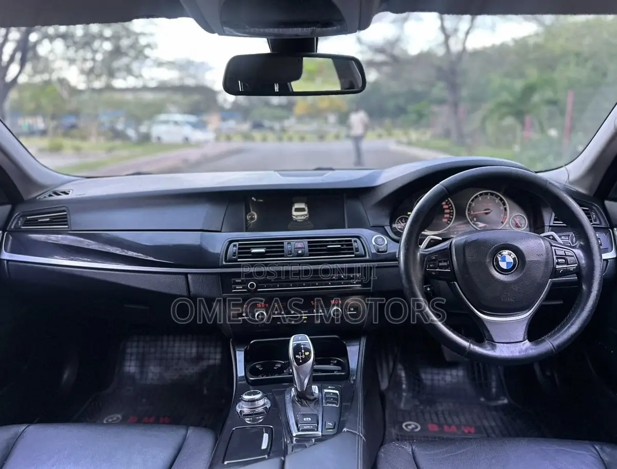 BMW 5 Series 2013 Blue