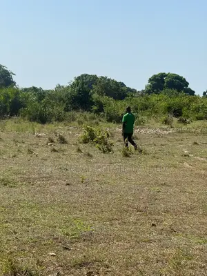 Viwanja Bagamoyo Kingani Town