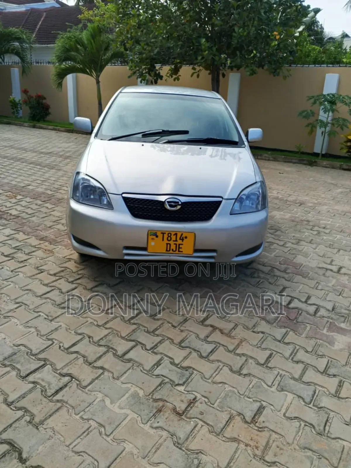 Toyota Allex 2005 Silver