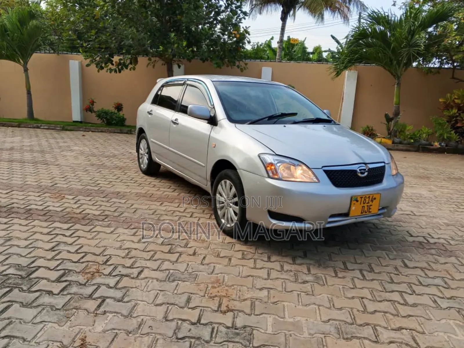 Toyota Allex 2005 Silver