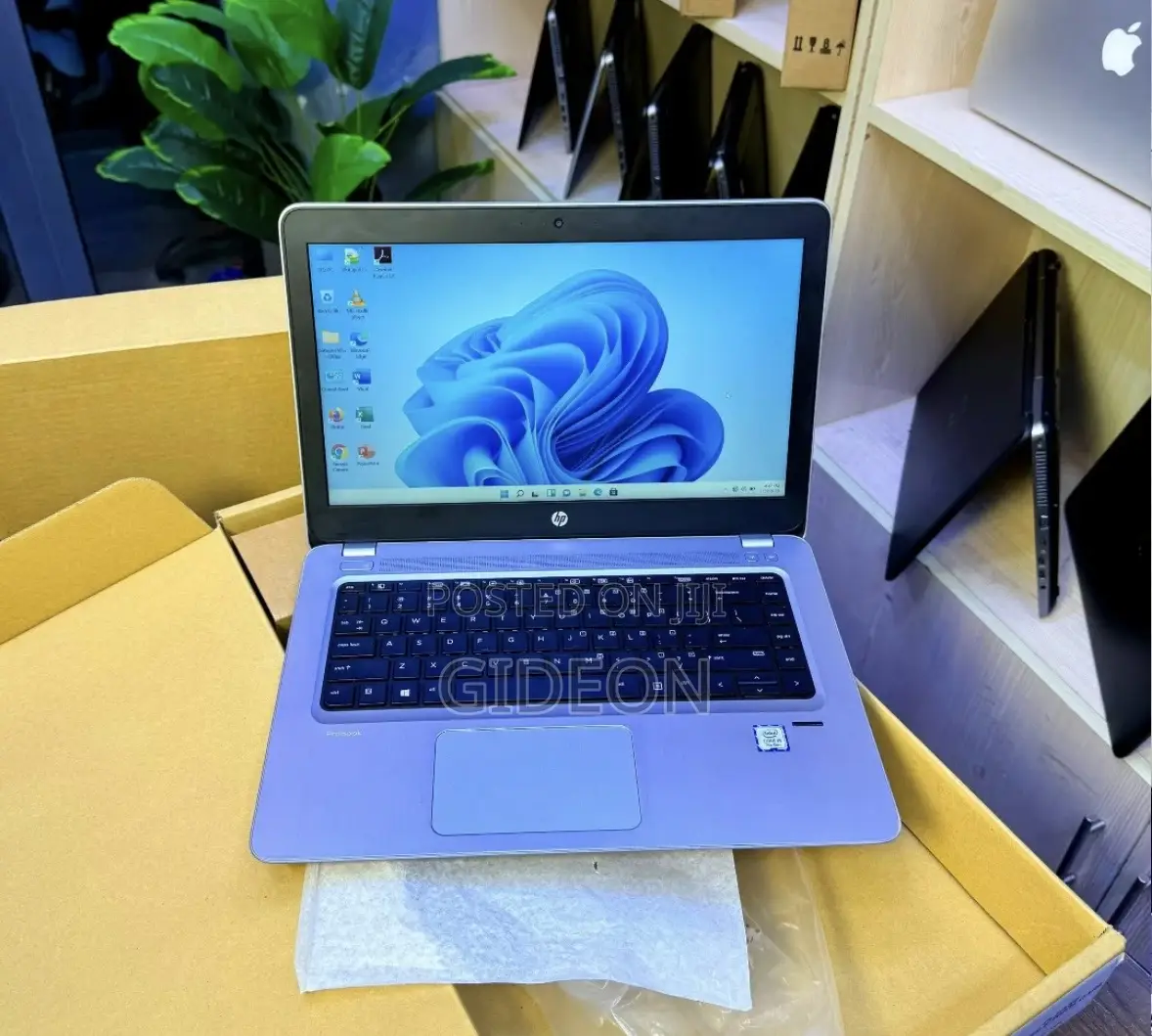 Laptop HP ProBook 440 G4 8GB Intel Core i5 SSD 256GB