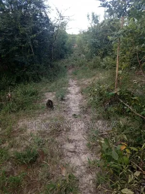 Shamba Maji Chumvi Morogoro Mvomelo Lote Heka 4