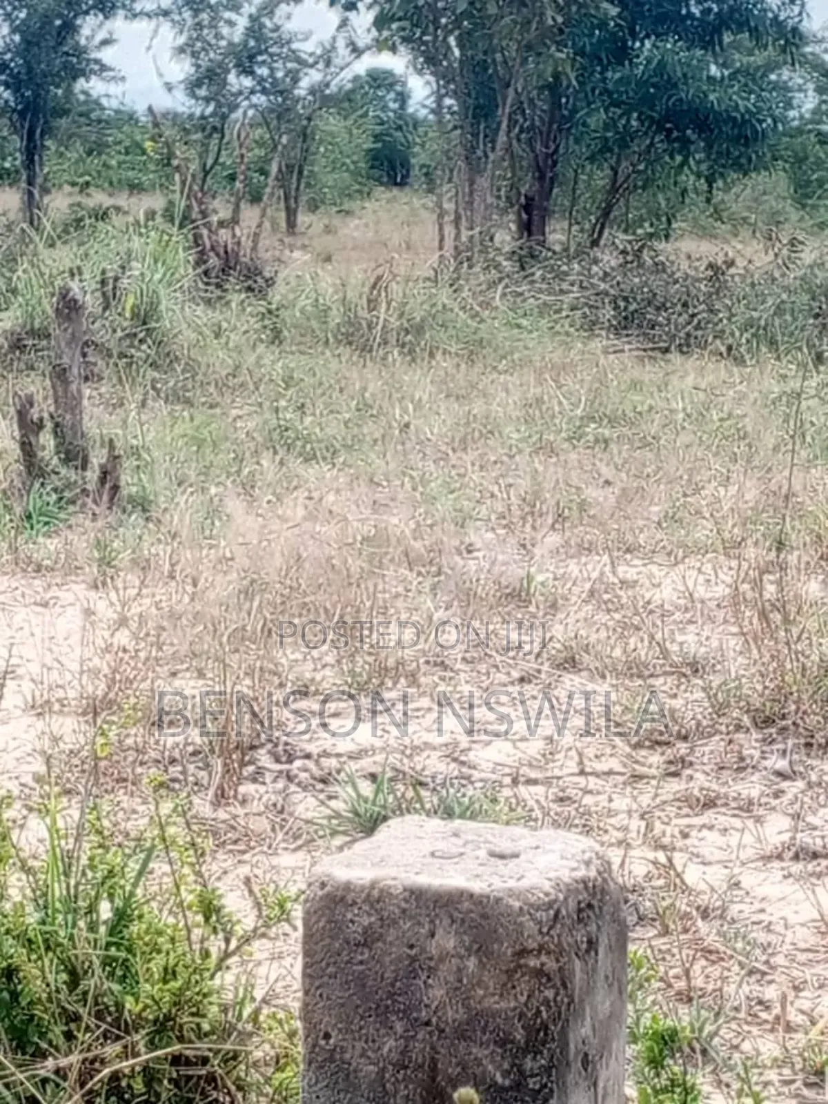 Shamba Maji Chumvi Morogoro Mvomelo Lote Heka 4