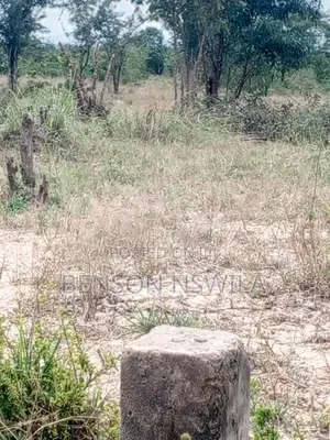 Shamba Maji Chumvi Morogoro Mvomelo Lote Heka 4