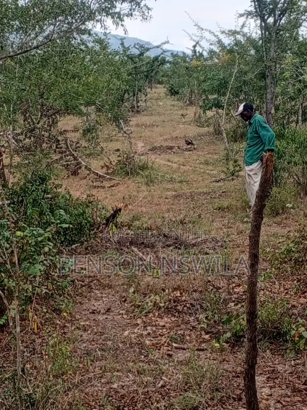 Shamba Maji Chumvi Morogoro Mvomelo Lote Heka 4