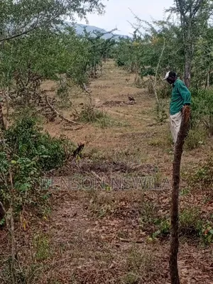 Shamba Maji Chumvi Morogoro Mvomelo Lote Heka 4