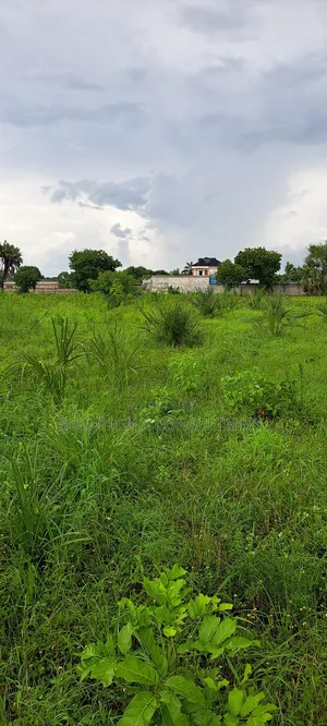 Eneo La Ekari 5.7linauzwa Mapinga