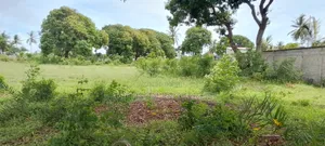 Kiwanja Mbutu Beach Kigamboni