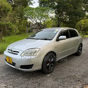 Toyota Corolla RunX 2004 Silver