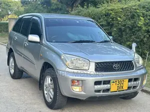 Toyota RAV4 2005 Silver