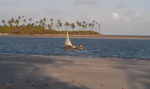Pristine Adventurous Beach Plot for Sale! Perfect for Weekends