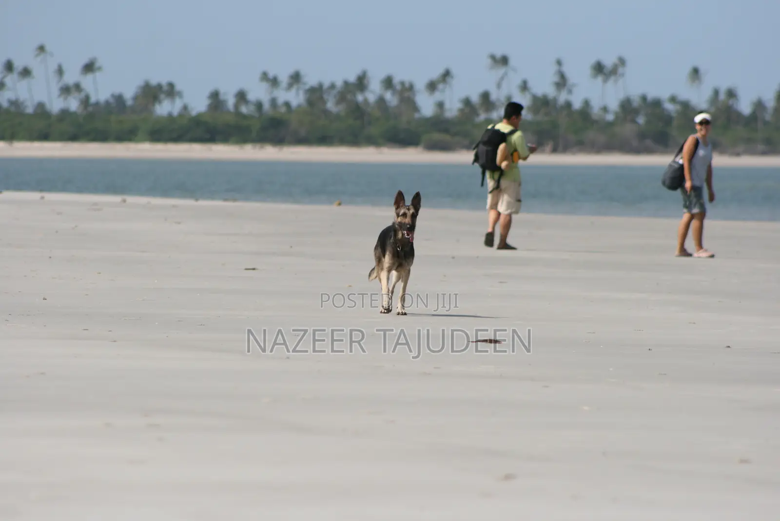 Pristine Adventurous Beach Plot for Sale! Perfect for Weekends