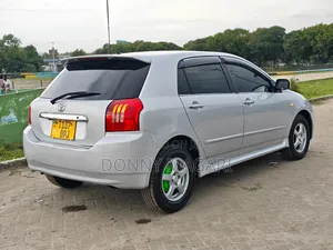Toyota Allex 2005 Silver