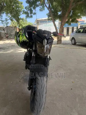 Yamaha FZ6 2011 Black