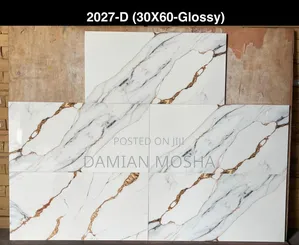 Wall Tiles 30/60 for Interior
