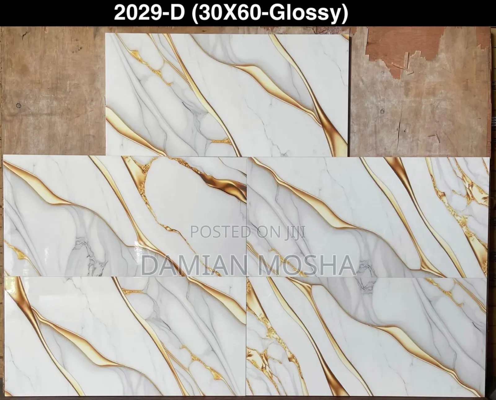 Wall Tiles 30/60 for Interior