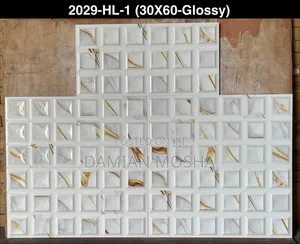 Wall Tiles 30/60 for Interior