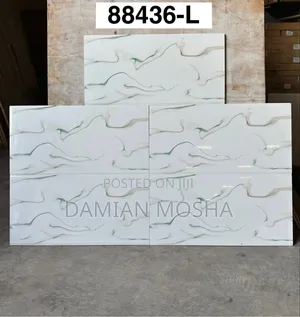 Wall Tiles 30/60 for Interior