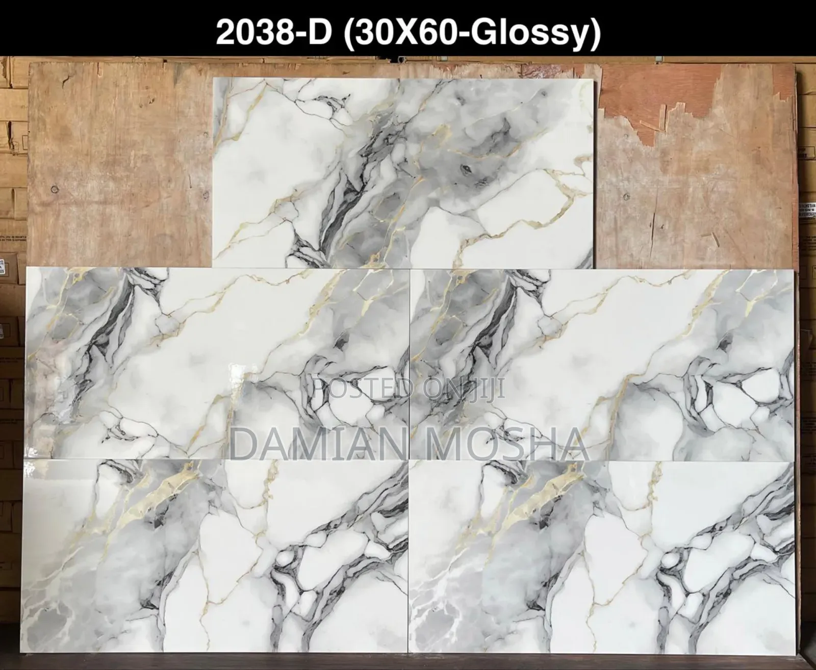 Wall Tiles 30/60 for Interior
