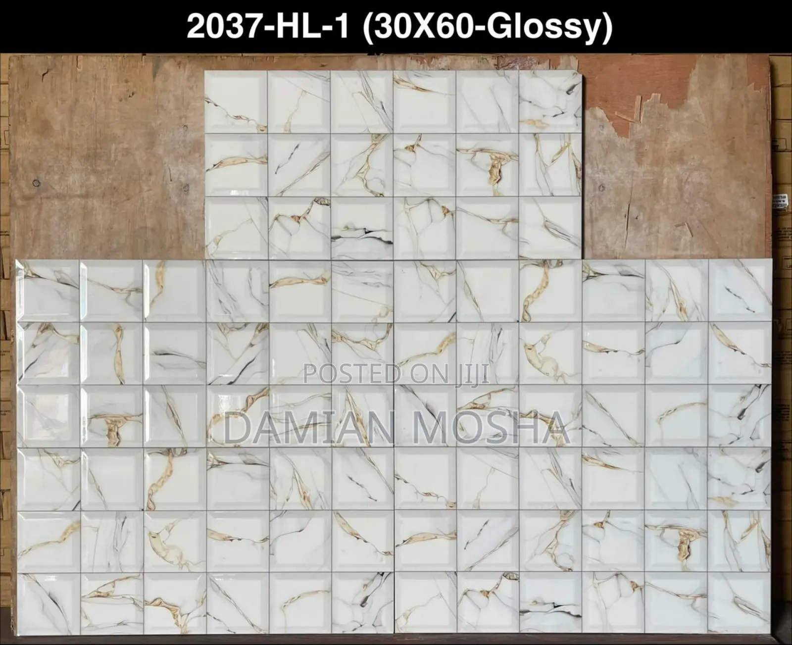 Wall Tiles 30/60 for Interior