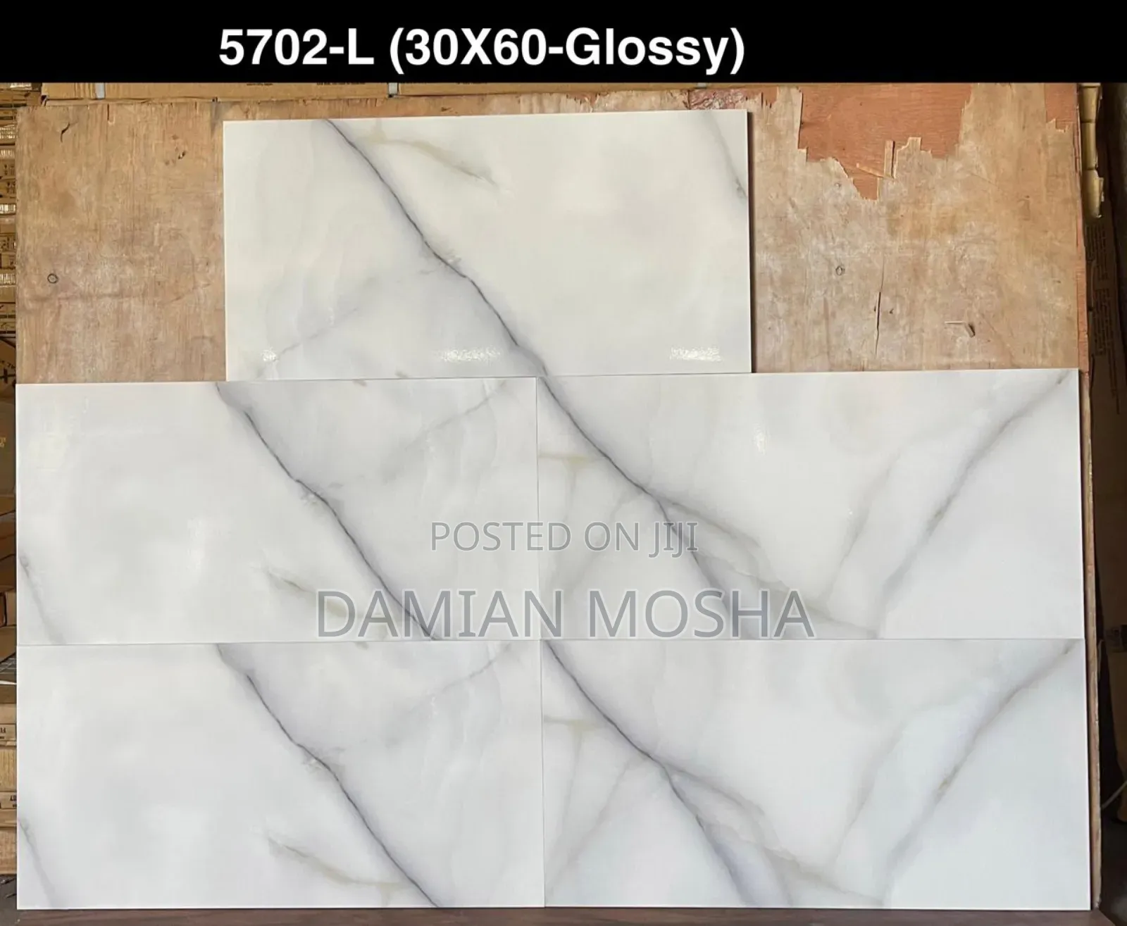 Wall Tiles 30/60 for Interior