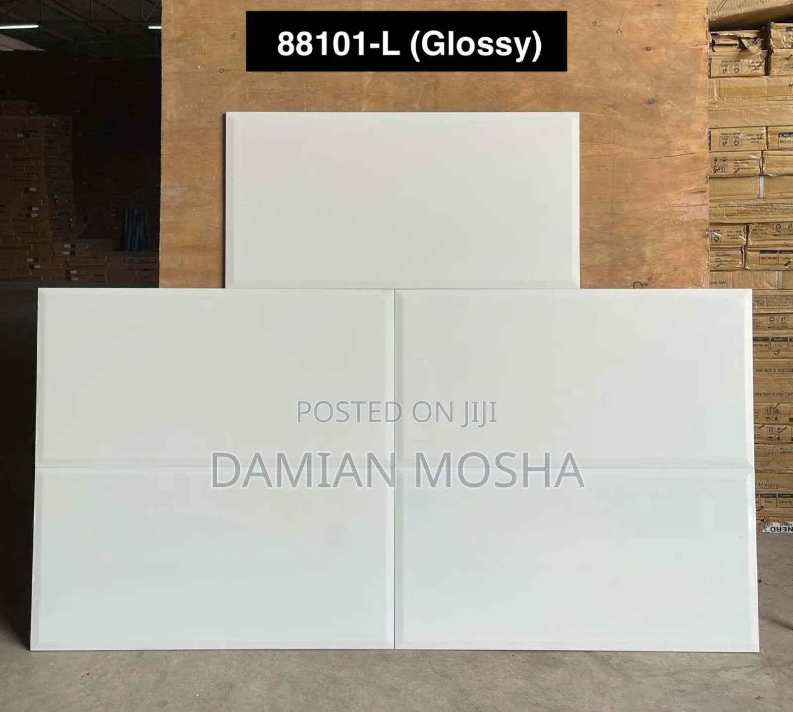 Wall Tiles 30/60 for Interior