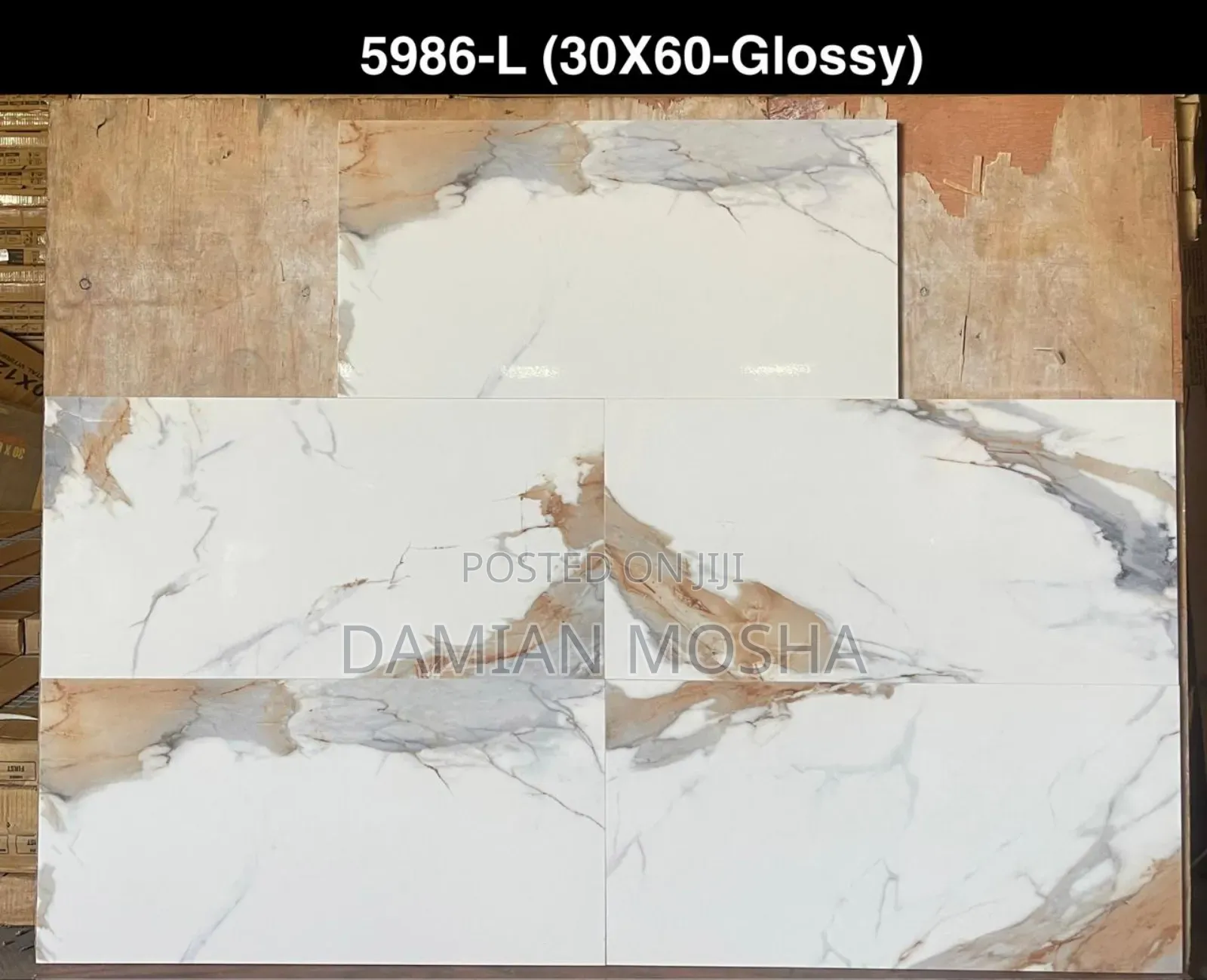 Wall Tiles 30/60 for Interior