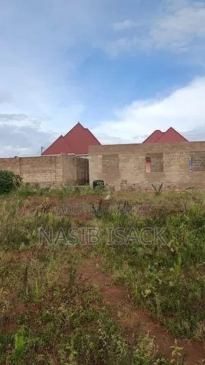 Plot for Sale Mwanza Busweru
