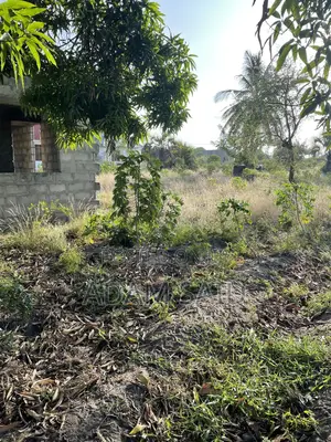 Plot Yenye Boma Inauzwa Kigamboni