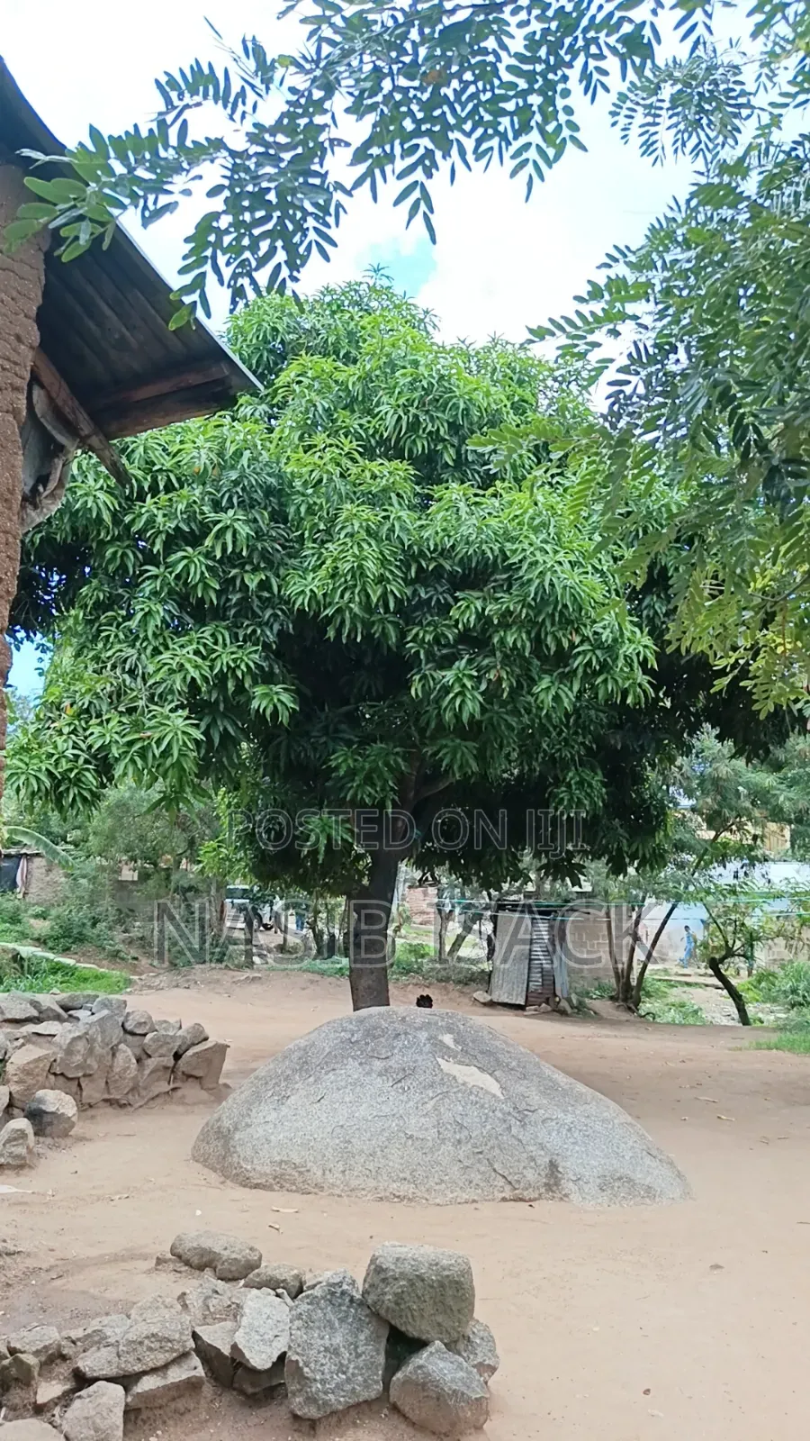 Plot for Sale Mwanza Butimba