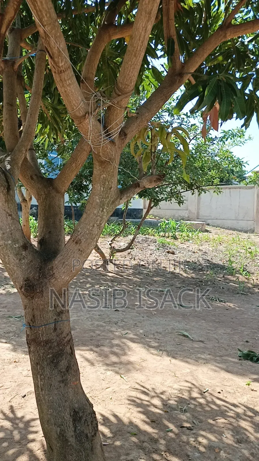 Furnished 3bdrm House in Nyasaka for sale