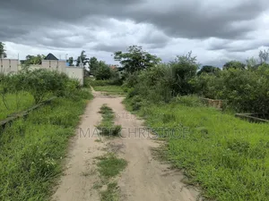 Land Plot Mapinga