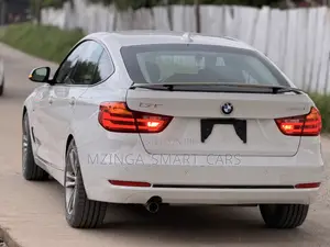 BMW 320i Sedan RWD 2014 White