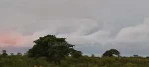 Investment Land Near Beach Mbutu Kigamboni