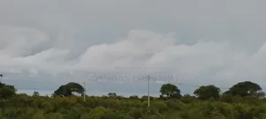 Investment Land Near Beach Mbutu Kigamboni