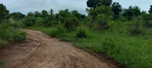 Investment Land Near Beach Mbutu Kigamboni