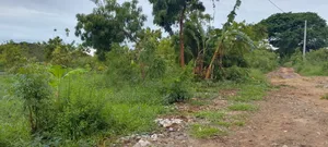 Investment Land Near Beach Mbutu Kigamboni