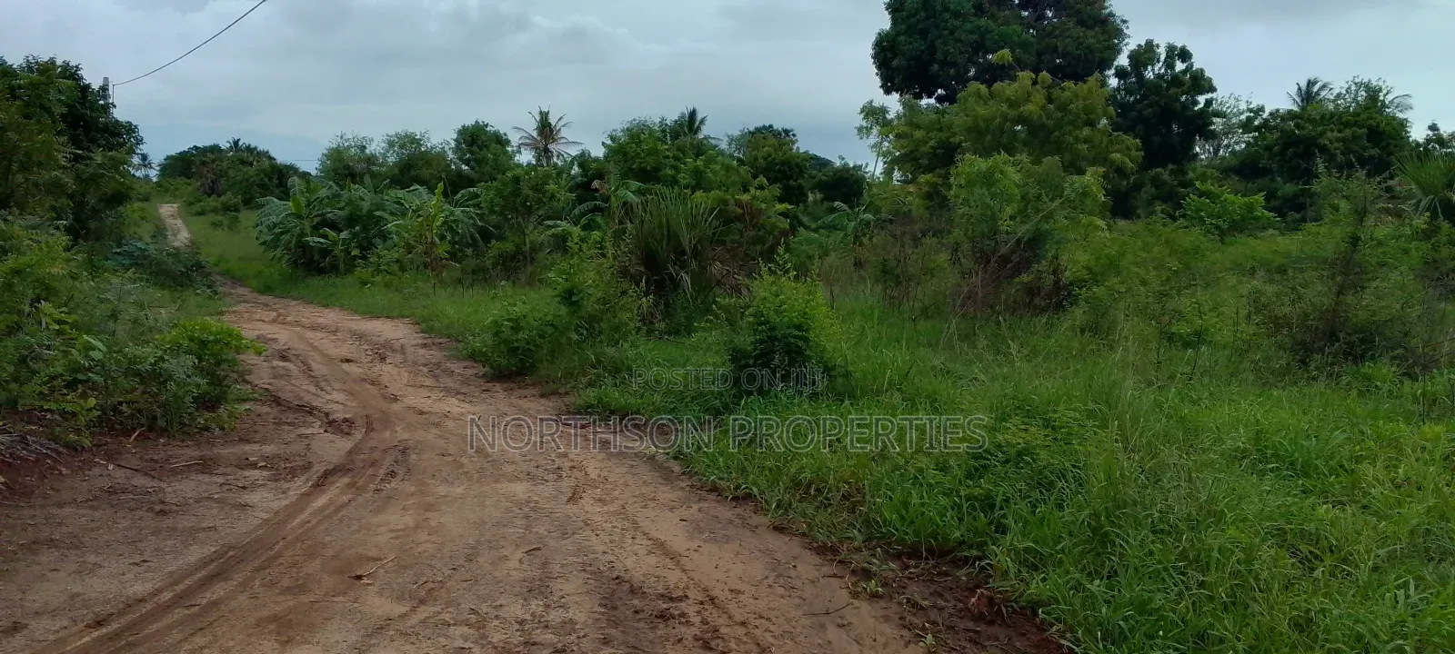 Investment Land Near Beach Mbutu Kigamboni