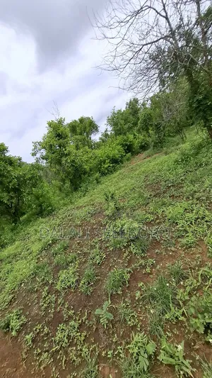 Plot at Dakawa Hector 30 Farming