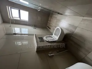 Furnished 2bdrm Apartment in Dsm Expat Connect, Kinondoni for rent