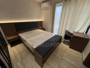 Furnished Studio Apartment in Dsm Expat Conect, Kinondoni for rent