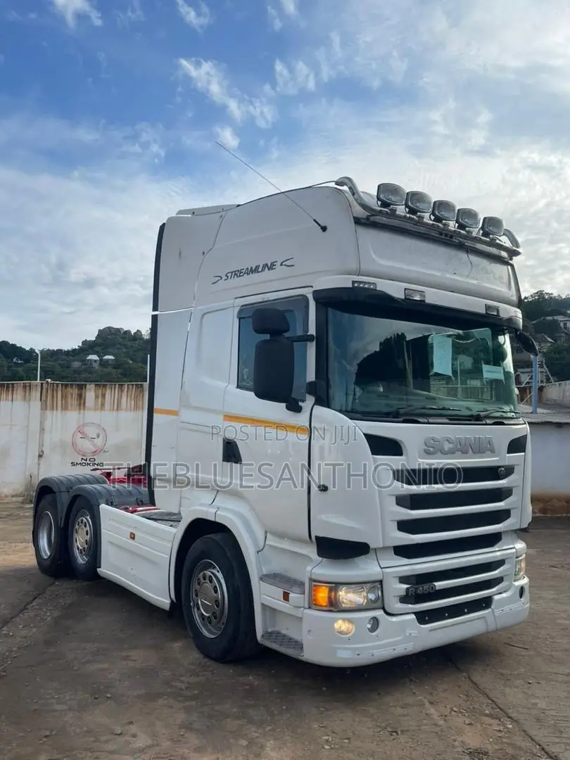 Scania Horse on Sale