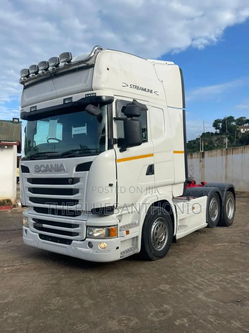 Scania Horse on Sale