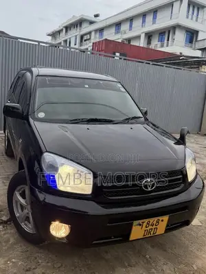 Toyota RAV4 2004 Black